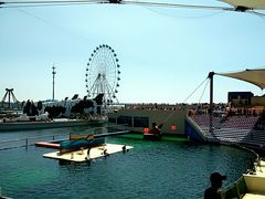 -秦皇岛乐岛海洋王国