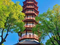 -绳金塔