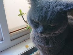 -Rabbit Cafe私房西餐甜点咖啡(栖霞路店)