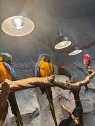 -Zoolung Zoolung动物主题公园(海信广场店)