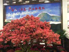 -井冈山风景名胜区