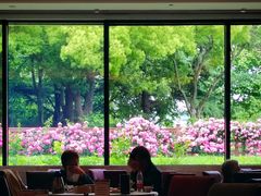-潮府馆·非遗潮州菜·港式点心(世纪公园店)