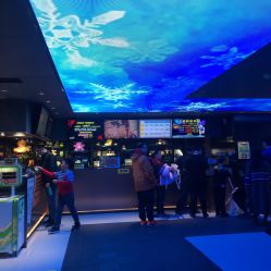 -嗨翻Hi-Fun竞技主题乐园·蹦床团建生日聚会(五棵松华熙店)