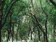 -燕晗山郊野公园