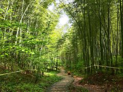 -南山风景名胜区