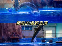 -华夏文旅西安度假区