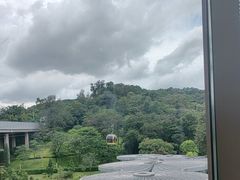 -点都德(广州白云山景区南门店)