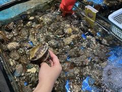 -三亚火车头万人海鲜广场