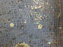 -水晶之星洗浴温泉汗蒸