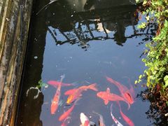 -老洋房花园饭店(绍兴路店)