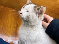 -走西口家宴(体育路店)