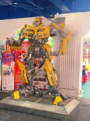 -爱丽丝奇幻乐园