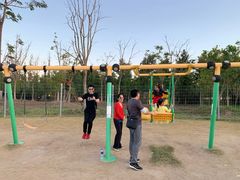 -上海长兴岛郊野公园