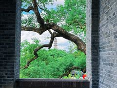 -江心屿景区