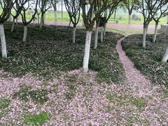 -滨湖塘西河公园