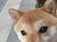 -LES ELITES 英集荟(南京西路店)