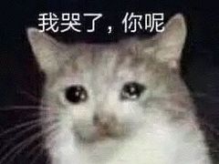 -鹏欣水游城