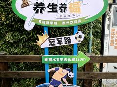 -溱湖国家湿地公园