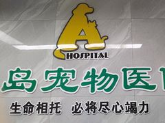 -半岛宠物医院24小时(白果林店)