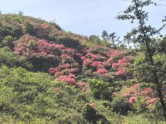 -木兰云雾山