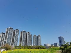 -光明小镇欢乐田园