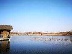 -溱湖国家湿地公园