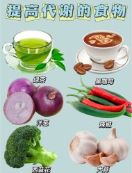 -Fundi张玉珊修身堂·indiba·BTL科技瘦身
