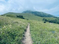 -灵山