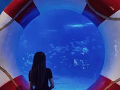 -烟台海昌鲸鲨海洋公园