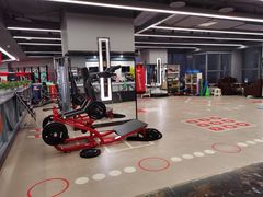 -金吉鸟健身游泳