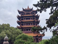 -黄鹤楼公园(黄鹤楼)