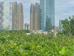 景点-橘子洲景区