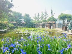 -洪湖家庭农场·团建·露营·会议