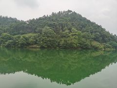 -桃花岭景区