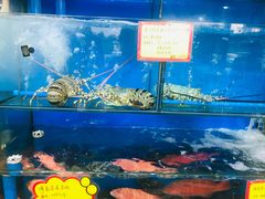 水产区-蚝专家(北滘店)