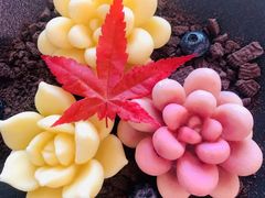 -遇见花开主题餐厅(团城山店)