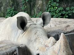 -杭州野生动物世界