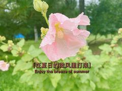 -永定河休闲森林公园