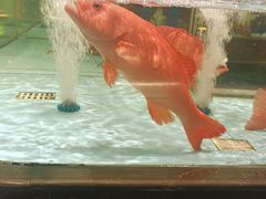 -阿伟海鲜楼·福建菜(延寿店)