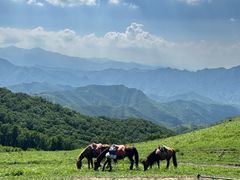 -灵山
