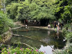 -成都市活水公园