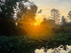 -月湖风景区