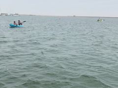 -碧海金沙