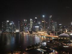 -新加坡文华东方酒店