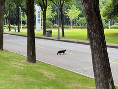 -尚贤河湿地