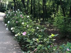 -南戴河国际娱乐中心