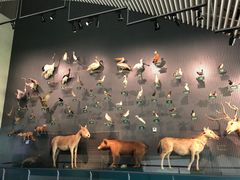 -中国湿地博物馆
