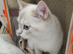 -宠颐生宠物医院·综合诊疗(先锋分院)