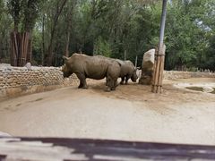 -北京野生动物园
