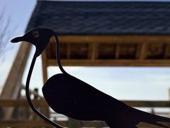 -野鸭湖国家湿地公园